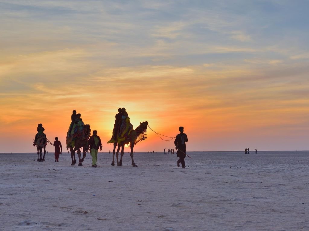 Rann of Kutch & White Desert Tour
