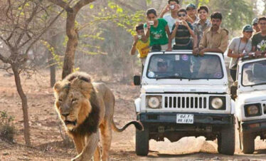 Dwarka Somnath Gir Diu Tour From Ahmedabad