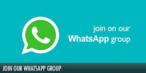 PORN SEX WHATSAPP GROUP LINKS: JOIN PORN VIDEO WHATSAPP GROUPS CHAT LINK